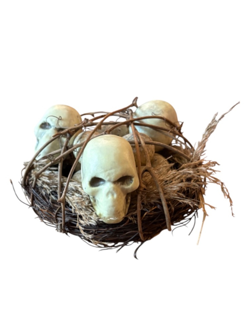 HALLOWEEN➕Bird Nest With Skulls & Eggs